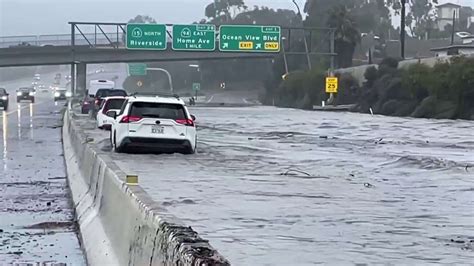 The Flood 2025